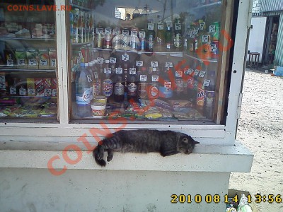 ФОТО - просто фото. Те что получились удачными. - IMG1529