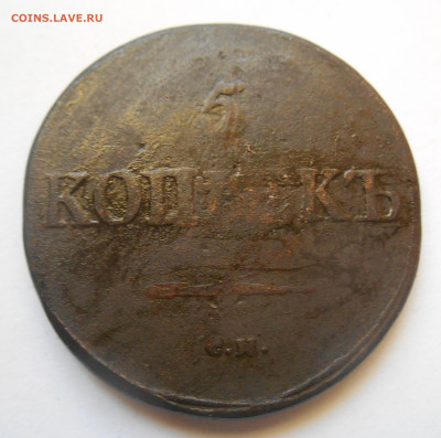 5 копеек 1831 см - Аверс.JPG