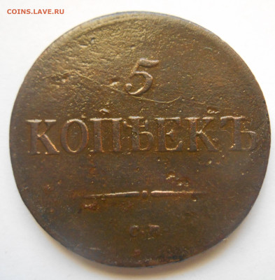 5 копеек 1837 года см - Аверс.JPG