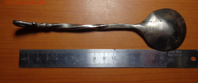 Железная ложка - DSC09114.JPG