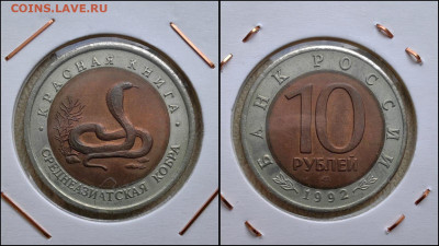 Кобра 10 рублей 1992 год. До 07.05 #1 - IMG-20250506-WA0002