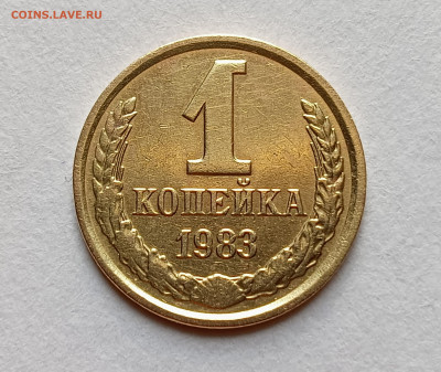 1 копейка 1983 + 1984 шт.1.42 Короткие ости до 11.05.25 - IMG_20230912_095712