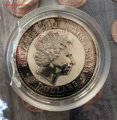 2$ 2003 Kookaburra 13.5.25 22.00 МСК. - IMG_4437