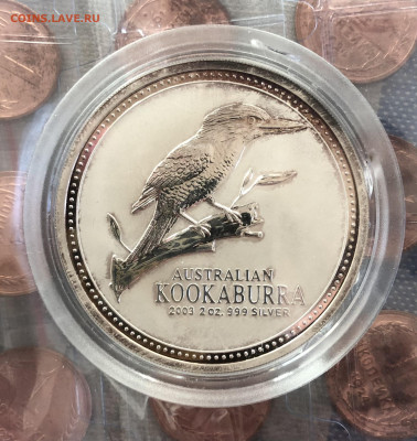 2$ 2003 Kookaburra 13.5.25 22.00 МСК. - IMG_4440