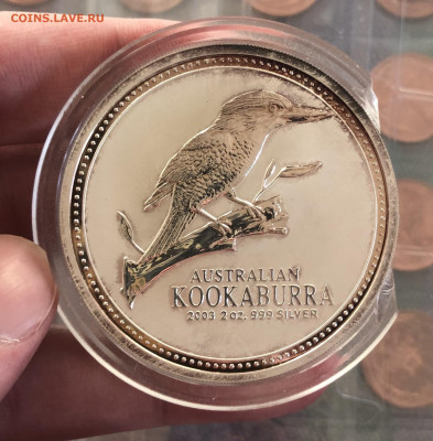 2$ 2003 Kookaburra 13.5.25 22.00 МСК. - IMG_4445