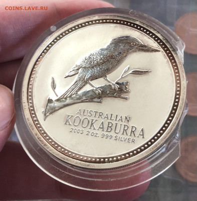 2$ 2003 Kookaburra 13.5.25 22.00 МСК. - IMG_4446