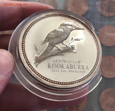 2$ 2003 Kookaburra 13.5.25 22.00 МСК. - IMG_4447