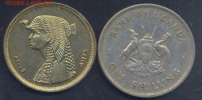 Египет 50 пиастров 2005 г.   10.05.2025 г. 22 -00 МСК. - Уганда1