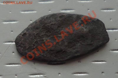 медные чешуйки-помощь в определении и оценка - DSC03081_cr