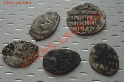 чешуйки 5шт  определение и оценка - DSC03089_cr