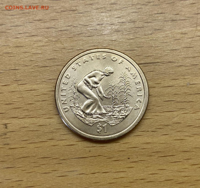 США 1$ доллар 2009 двор D Сакагавея Индианка Три сестры - IMG_2413.JPG