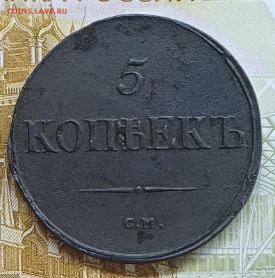 5 копеек 1838 СМ До 21.05.25 - 20250515_183814