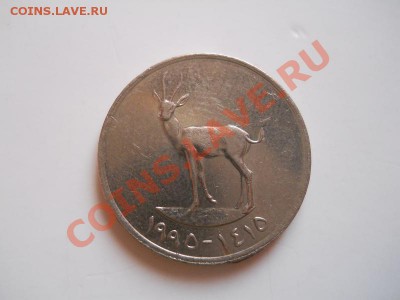 Монета Арабских Эмиратов. Окончание в 21.00, 16.02.2012. - 14.JPG