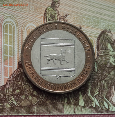 10 рублей 2009 Еврейская область. До 21.05.25 в 22.00 - IMG20250514175344