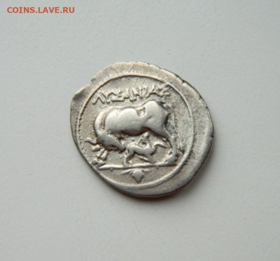 Иллирия?! - DSCN6064.JPG