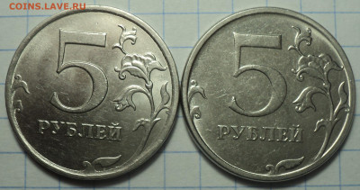 РАЗНОВИДНОСТИ  от  СЛФ - DSC01964.JPG