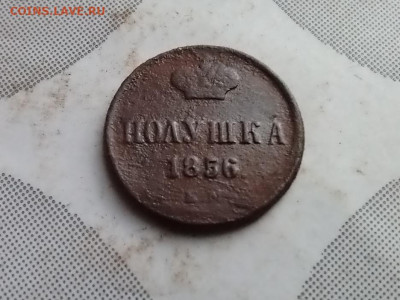 Полушка 1856 ем до 22.05.20235 - 1856 (39)