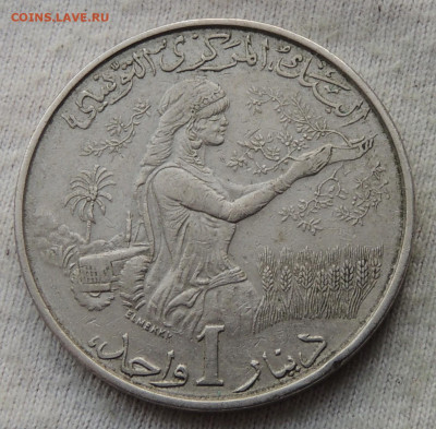 Тунис 1 динар 1976 №2 до 25.05.2025 - Тунис 1 динар 1976 №2.JPG