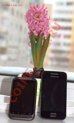 нужен совет знатокам мобильников - IMG_2829.CR2
