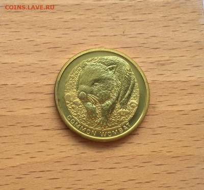 Австралия 1$ доллар 2008 Обыкновенный вомбат Животные Фауна - avstralija_1_dollar_2008_obyknovennyj_vombat_zhivotnye_fauna