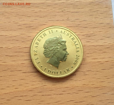 Австралия 1$ доллар 2008 Серый кенгуру Животные Фауна - avstralija_1_dollar_2008_seryj_kenguru_zhivotnye_fauna (1)