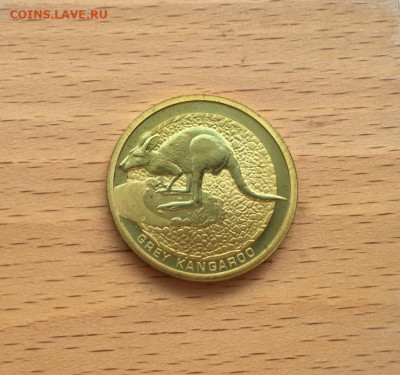 Австралия 1$ доллар 2008 Серый кенгуру Животные Фауна - avstralija_1_dollar_2008_seryj_kenguru_zhivotnye_fauna