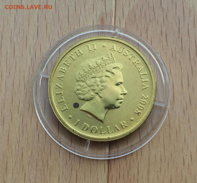 Австралия 1$ доллар 2008 Австралийский морской лев Животные - avstralija_1_dollar_2008_avstralijskij_morskoj_lev_zhivotnye_fauna (1)