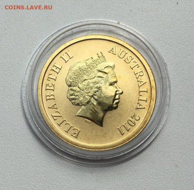 Австралия 1$ доллар 2011 Кенгуру Пурнулулу Национальный парк - avstralija_1_dollar_2011_kenguru_purnululu_nacionalnyj_park_avstralii_zhivotnye_fauna_emal (1)