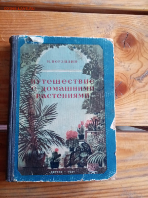 Путешествие с домашними растениями 1951год - IMG_20250522_192437