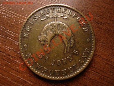 оценка - IMG_4217