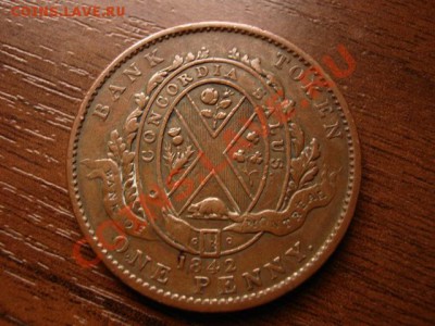 оценка - IMG_4228