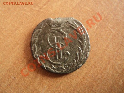 денга 1769 сибирь , до 14.02.12 в 22:00 по мск. - DSC02309.JPG