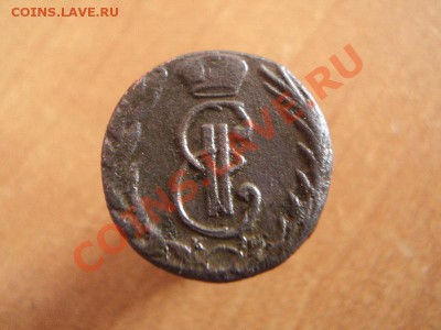 денга 1771 сибирь неплохая до 14.02.12 в 22:00 по мск. - DSC02318.JPG