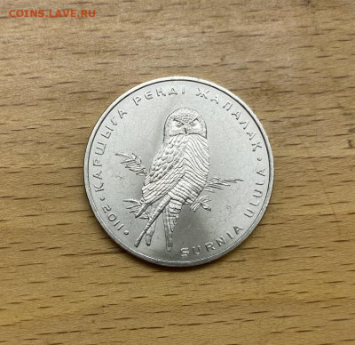 Казахстан 50 тенге 2011 Ястребиная сова птица фауна - kazakhstan_50_tenge_2011_jastrebinaja_sova_ptica_fauna