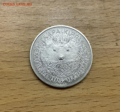 Казахстан 50 тенге 2013 Длинноиглый ёж животные Фауна - kazakhstan_50_tenge_2013_dlinnoiglyj_ezh_zhivotnye_fauna