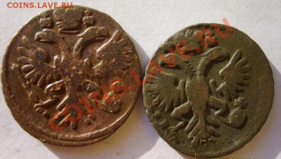 Деньга (6 шт) 1731(1 черта),31(2 черты),38,39,41,50 до 14.02 - S8304122.JPG