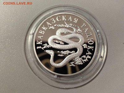 1руб 1999 Красная книга. Кавказская гадюка, Ag900, до 05.06 - 1р Гадюка-1