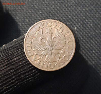 ПОЛЬША 5 ГРОШЕЙ 1939 года До 06.06 - 20250320_205358