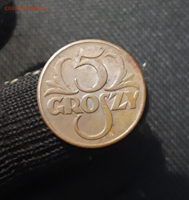 ПОЛЬША 5 ГРОШЕЙ 1939 года До 06.06 - 20250320_205406