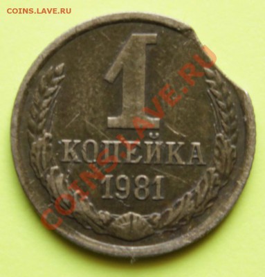 20к 1991г; 1к 1981г-выкусы - 1копейка_1