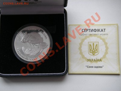Украина 10 гривен Соня садовая Ag - PICT6311.JPG