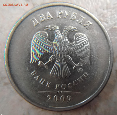 Вопросы по разновидностям от ЛисБ - 20250602_180017