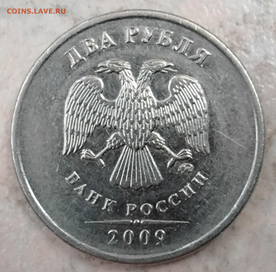Вопросы по разновидностям от ЛисБ - 20250602_175930