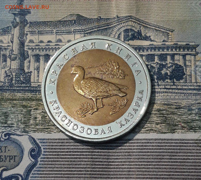 10 РУБЛЕЙ 1992 года КАЗАРКА КРАСНАЯ КНИГА До 10.06 - 20250416_204523