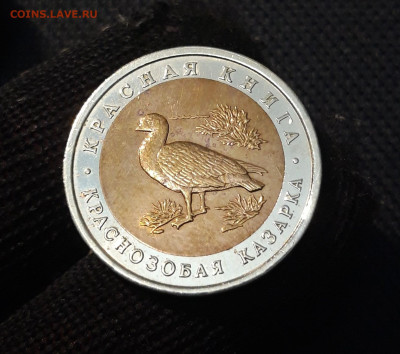 10 РУБЛЕЙ 1992 года КАЗАРКА КРАСНАЯ КНИГА До 10.06 - 20250416_204437