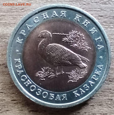 10 рублей 1992г. Краснозобая казарка. До 08.06. - Изображение WhatsApp 2025-06-05 в 07.58.20_714b7d94