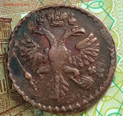 Денга 1731 ажурный орёл. Кладовая. До 8.06.25 в 22-00 мск. - IMG_20241120_085602