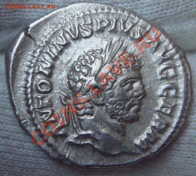 CARACALLA денарий до 18.02.12 в 22.00 по Москве - 2.JPG