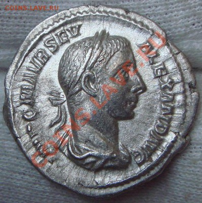 SEVERUS ALEXANDER денарий до 18.02.12 в 22.00 по Москве - 4 (1).JPG