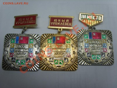 Знаки.Юный Урожаевец.3 место..ДСО урожай.до 15.02.12. 22.00 - S8301557.JPG